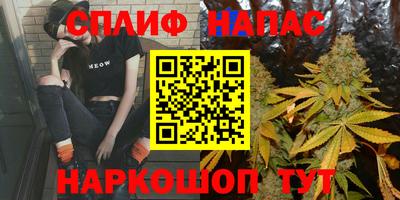 шишки Будённовск