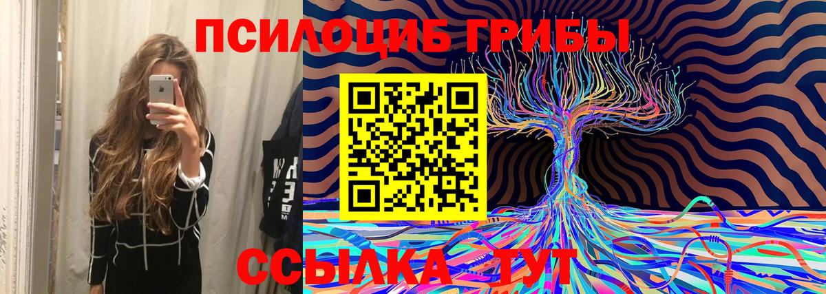 Сафоново  купить наркотик  Галлюциногенные грибы Psilocybine cubensis  Вход с VPN  Галлюциногенные грибы мицелий 